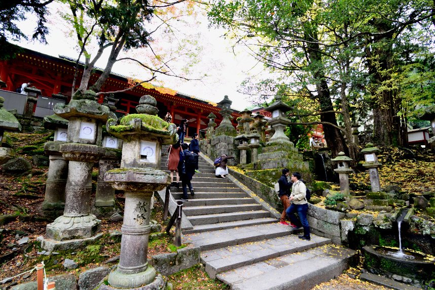 奈良 (20).JPG