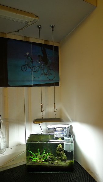 P1010238.jpg