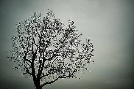 IMG_8582.jpg