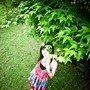 5e07fb89953f74b4164ffe2c298eff09