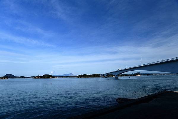 IMG_9949.JPG