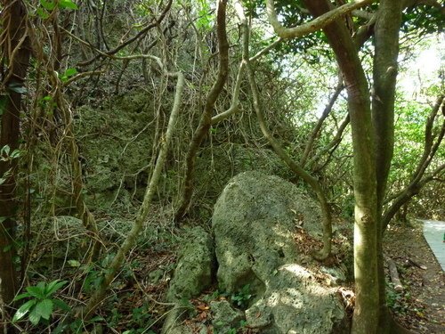 (5)藍天白雲之白色鵝鑾鼻燈塔