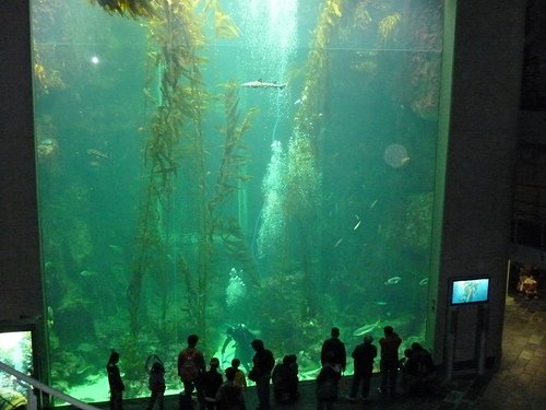 (3)海洋生物之家--海洋生物博物館