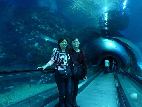 (3)海洋生物之家--海洋生物博物館