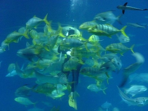 (3)海洋生物之家--海洋生物博物館