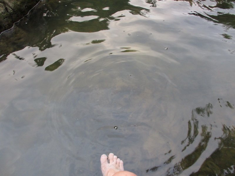 IMG_5584_調整大小.jpg