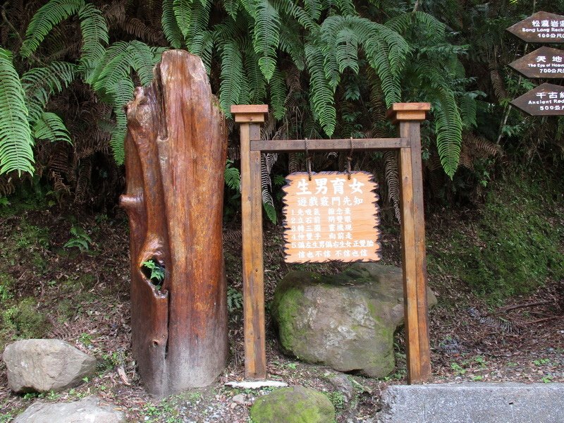 IMG_2537_調整大小.jpg