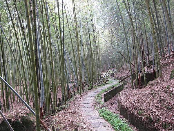 溪頭小半天風景區