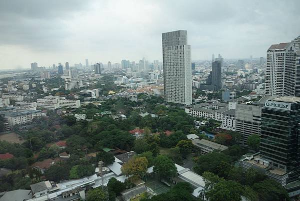 DSC00737