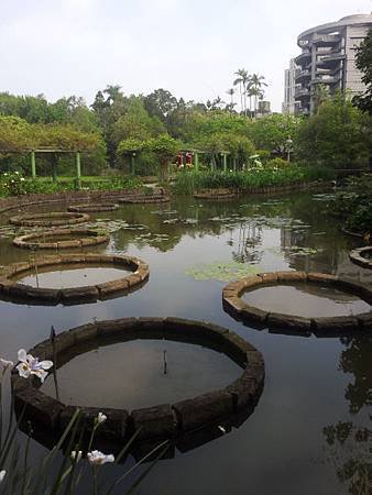 台北植物園水池