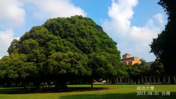 成功大學榕園