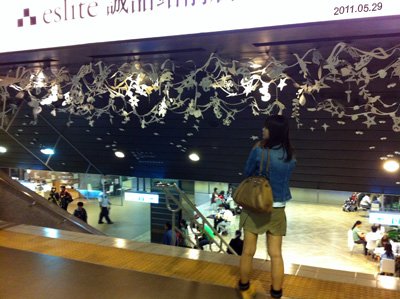 20110529.jpg