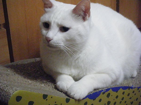 2010_05260009.JPG