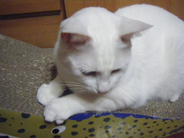 2010_05260011.JPG