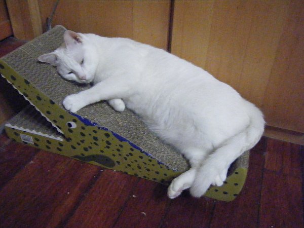 2010_05280003.JPG