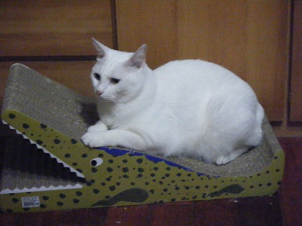 2010_05260008.JPG