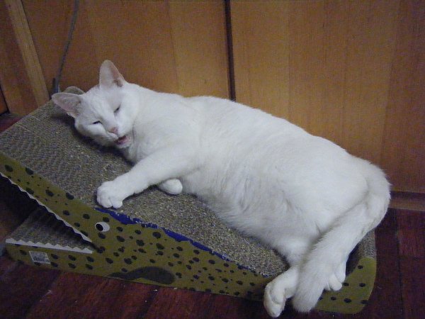 2010_05280002.JPG