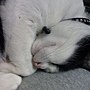 IMAG0313.jpg