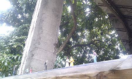 IMAG2329