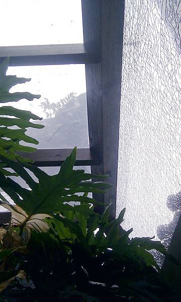 IMAG0708