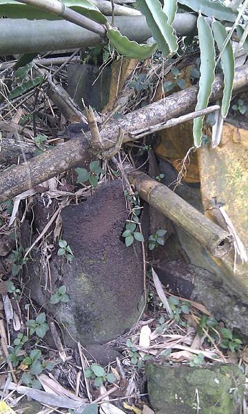 IMAG0922