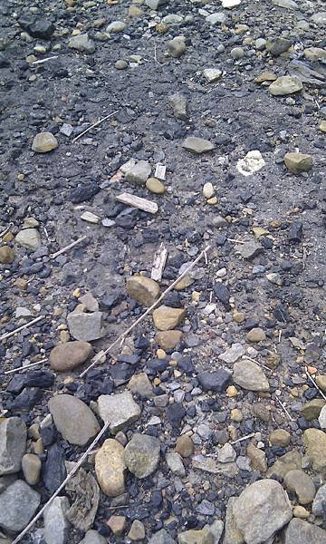 IMAG0948
