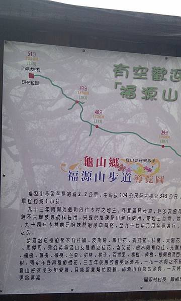 IMAG0981