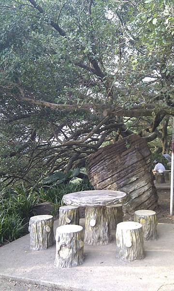 IMAG0969