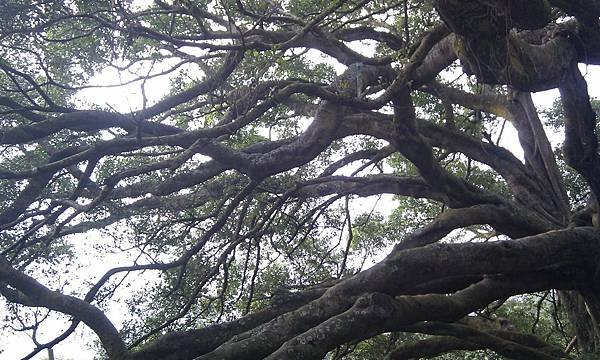 IMAG0970