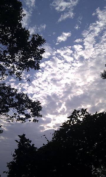 IMAG0978