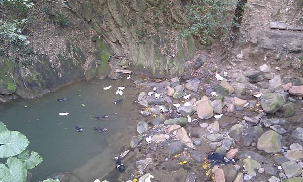 IMAG0956