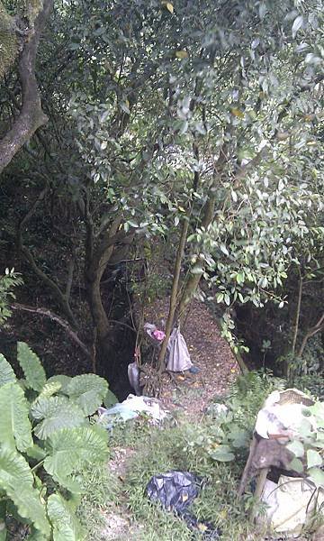 IMAG0955