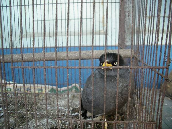 IMGP0276