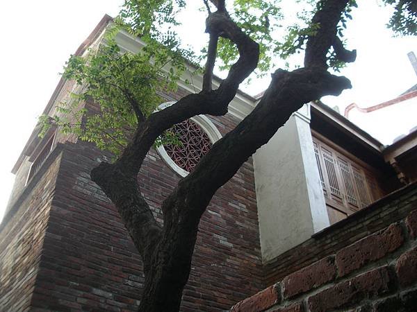 IMGP0391