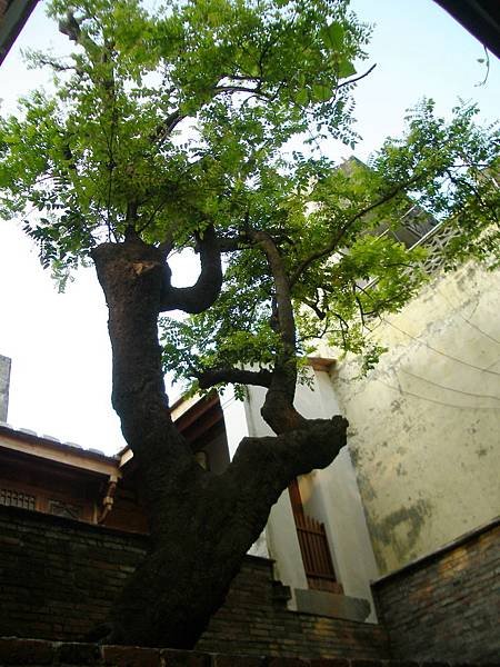 IMGP0389