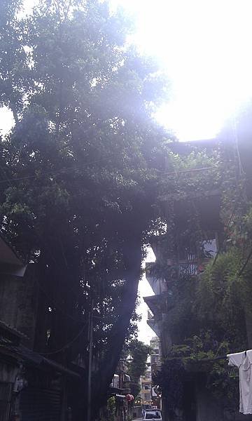 IMAG2901