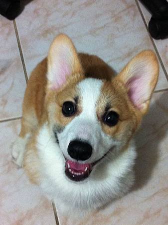 Happy Face 2