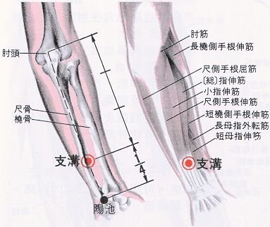 支溝穴.jpg