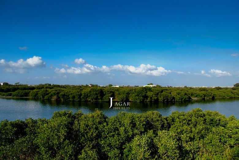 DSCF9046.jpg