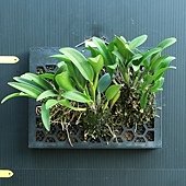 20171023-V-5.JPG