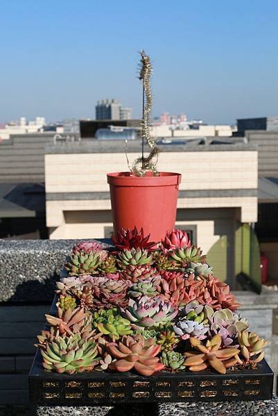 20180114-V-19.JPG