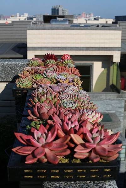 20180114-V-23.JPG