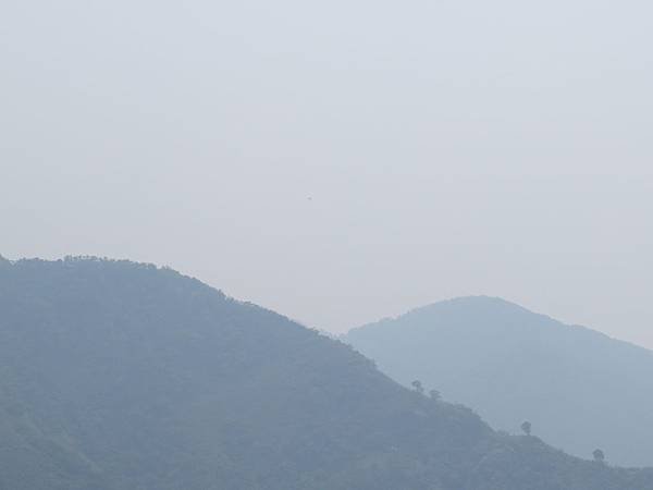IMG_1289.JPG