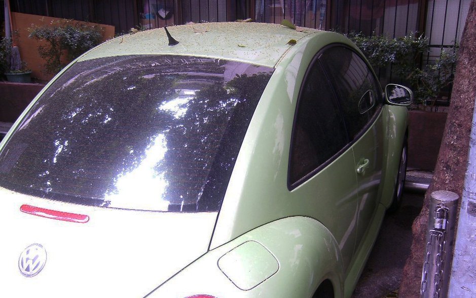 SANY2529.JPG