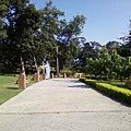 110917-3b.JPG