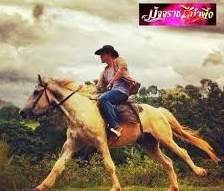 images (2)96