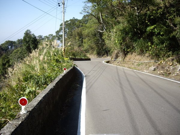 IMGP1290_調整大小.JPG