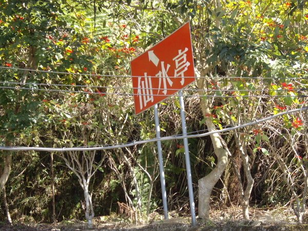IMGP1303_調整大小.JPG