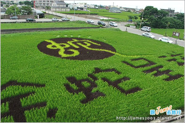 [苗栗景點] 苑裡鎮藺草文化館001