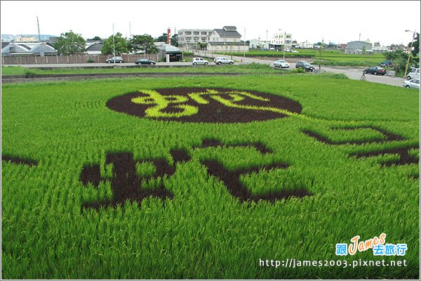 [苗栗景點] 苑裡鎮藺草文化館024